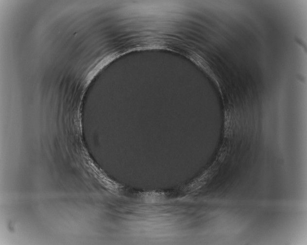 X0000102240789200808081435