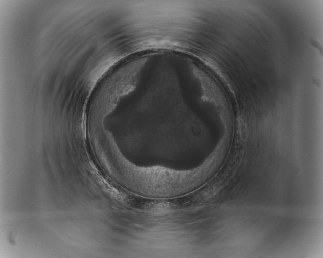 X0000102240791200808081435