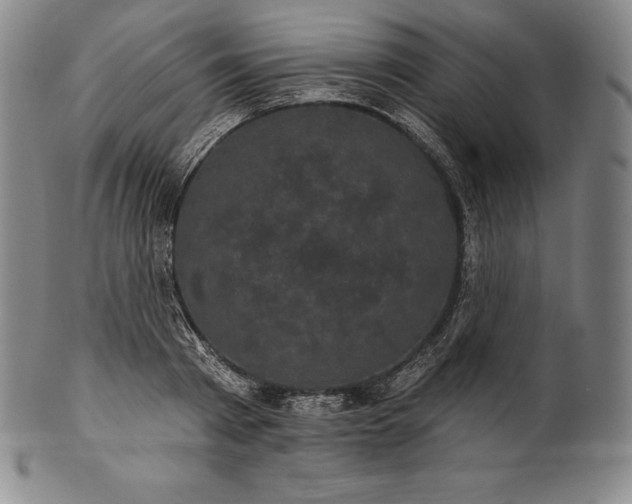 X0000102240793200808081435