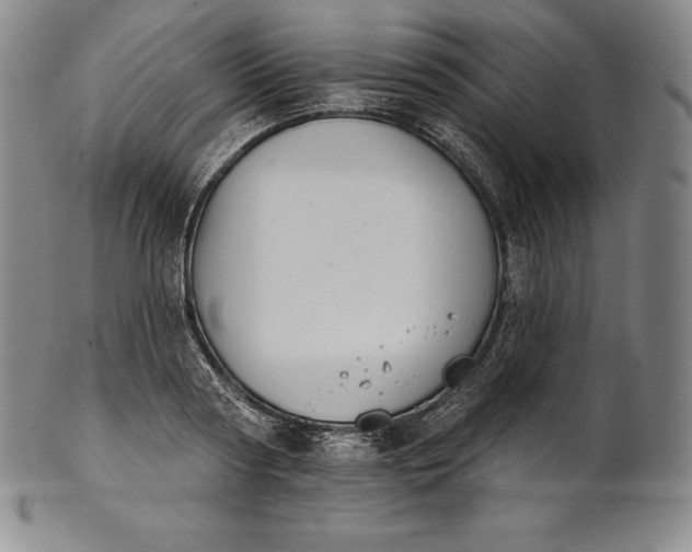 X0000102240794200808081435