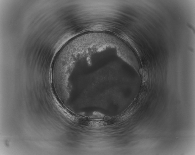 X0000102240795200808081435