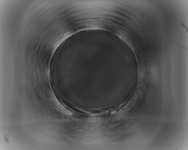 X0000102240797200808081435