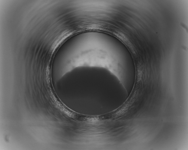 X0000102240798200808081435