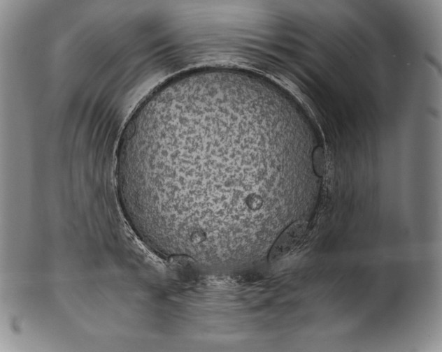 X0000102240799200808081435