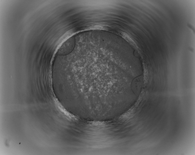 X0000102240800200808081435