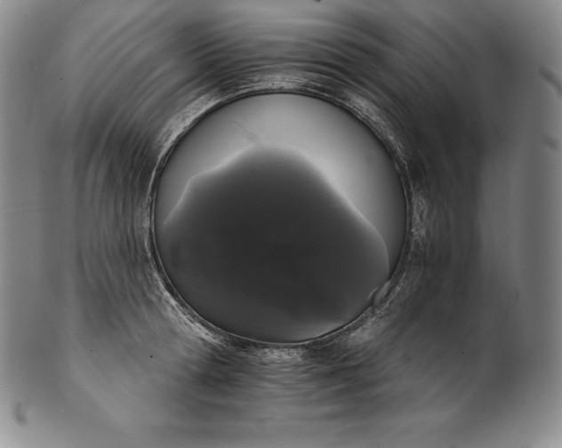 X0000102240802200808081435