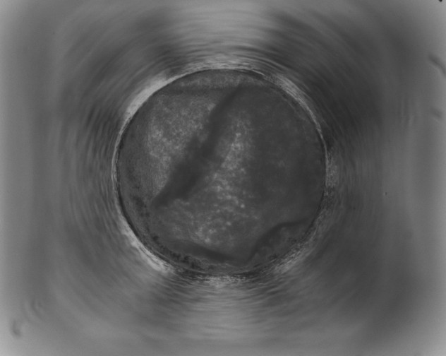 X0000102240803200808081434