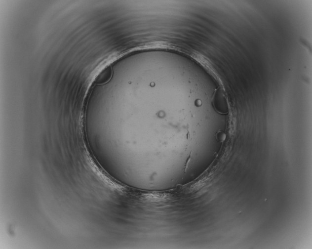 X0000102240805200808081434