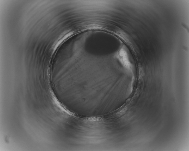 X0000102240806200808081434