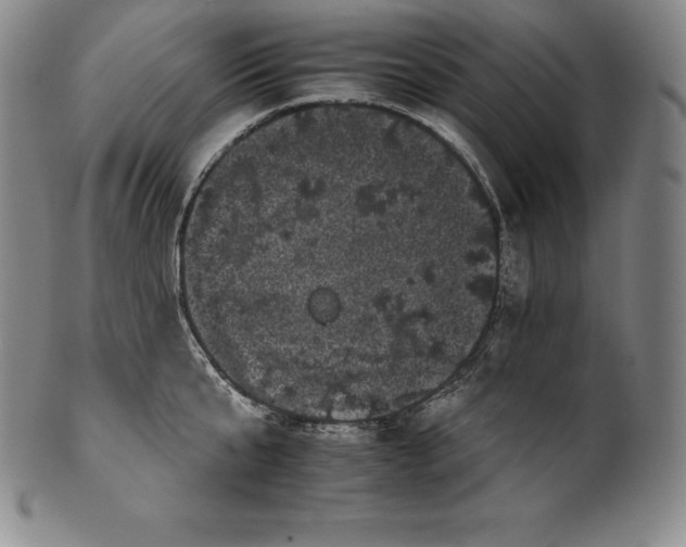 X0000102240807200808081434