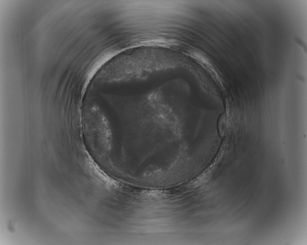 X0000102240808200808081434