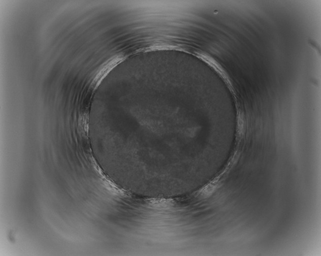 X0000102240809200808081434