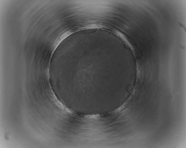 X0000102240810200808081434