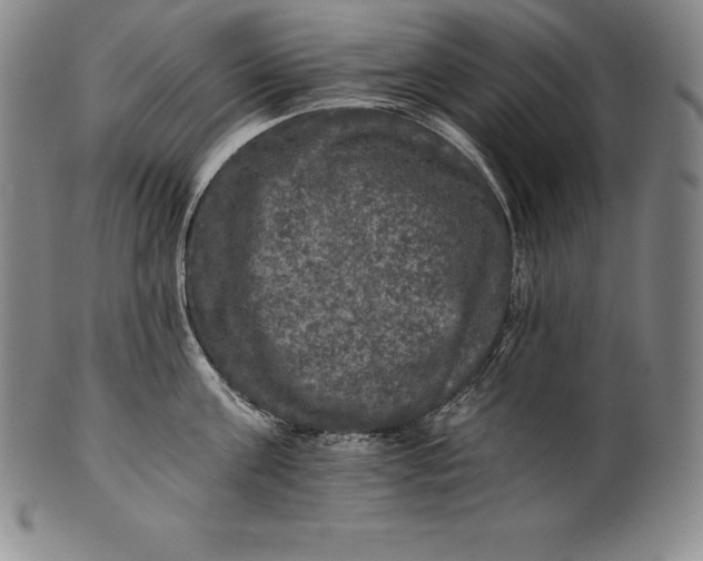 X0000102240811200808081434