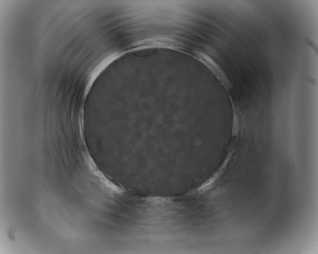 X0000102240812200808081434