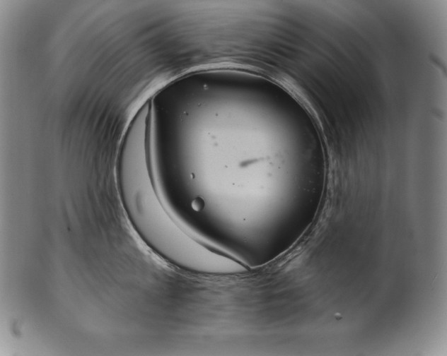 X0000102240813200808081434