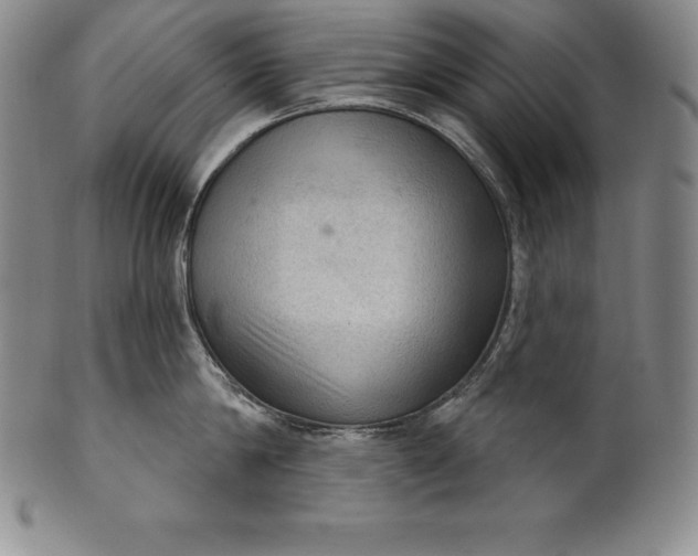 X0000102240814200808081434