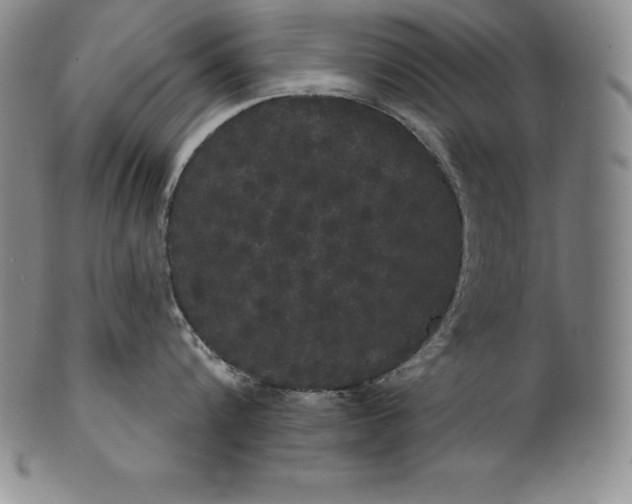 X0000102240816200808081434