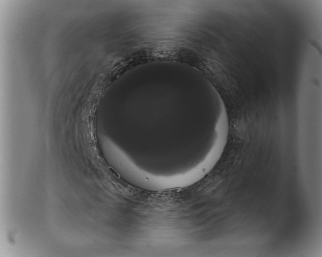 X0000102240817200808081433