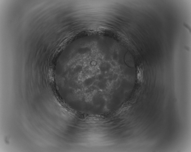 X0000102240819200808081433