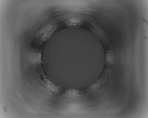 X0000102240820200808081434