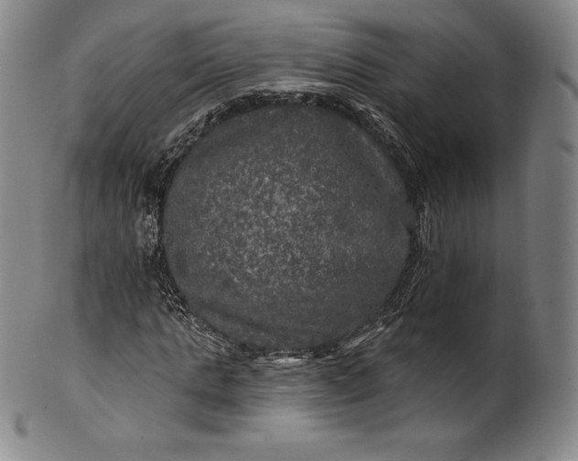 X0000102240821200808081434