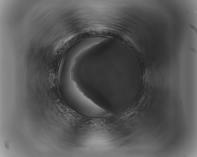 X0000102240822200808081434