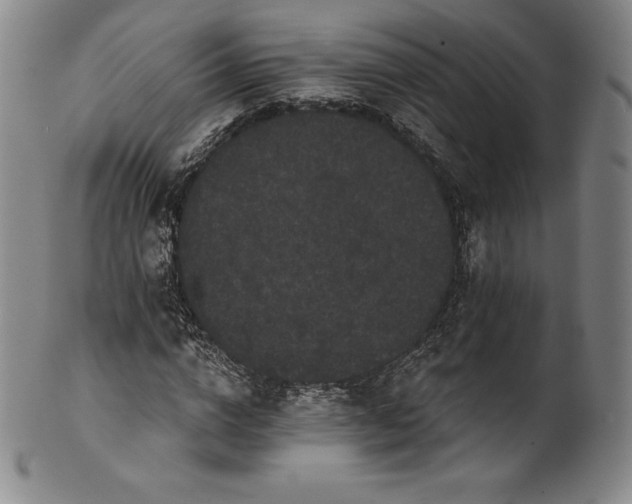 X0000102240824200808081434