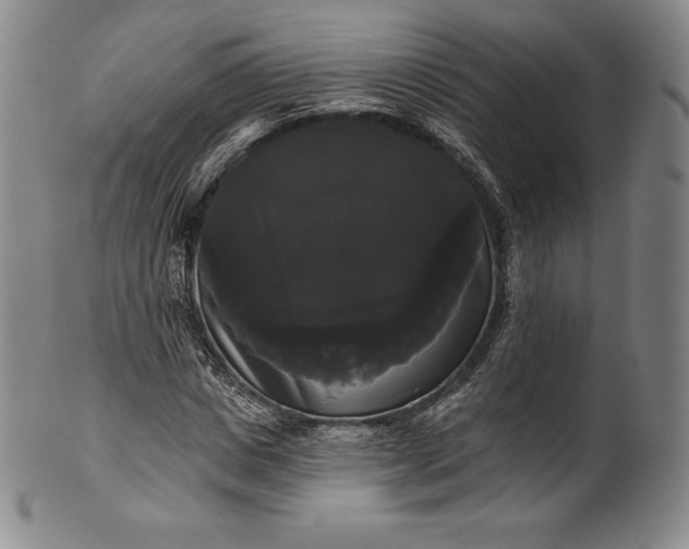 X0000102240825200808081434