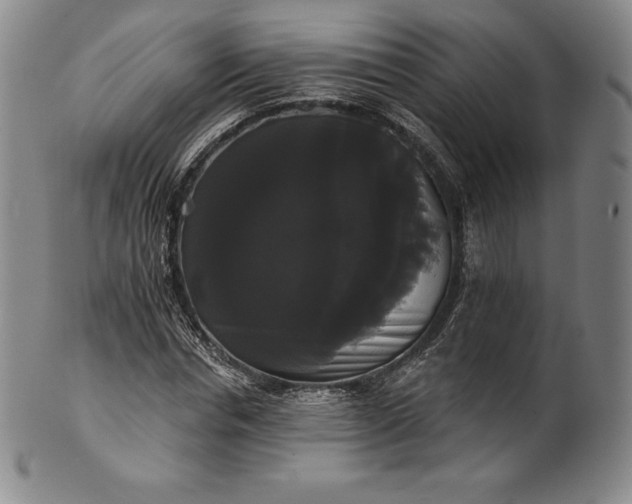 X0000102240826200808081434