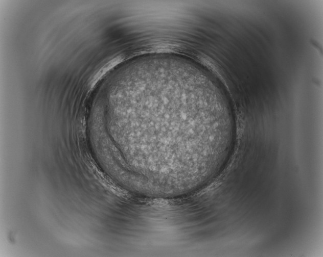 X0000102240827200808081434