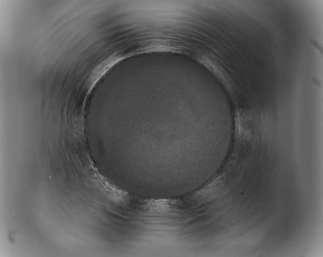 X0000102240828200808081434