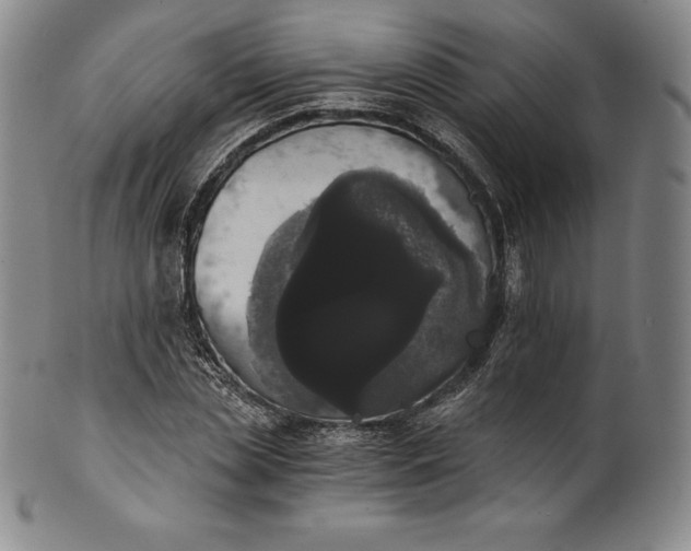 X0000102240829200808081434