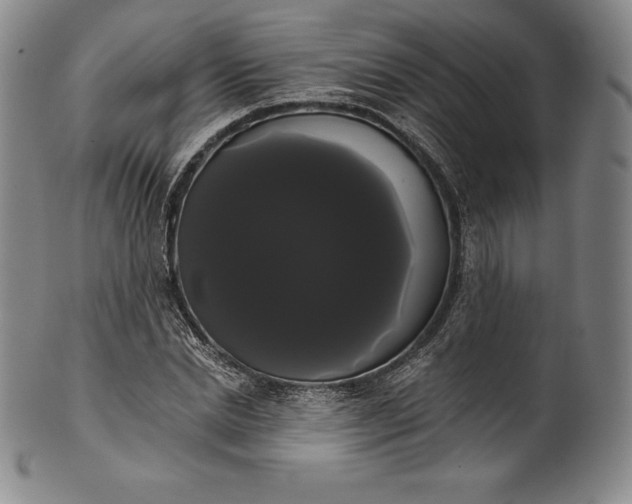 X0000102240830200808081434