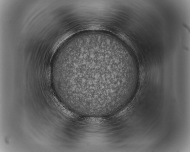 X0000102240831200808081434