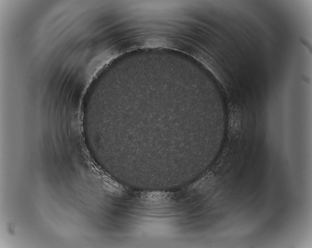 X0000102240832200808081434