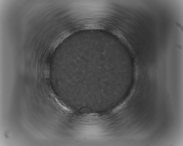 X0000102240833200808081434