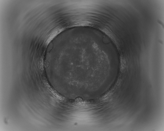 X0000102240834200808081434