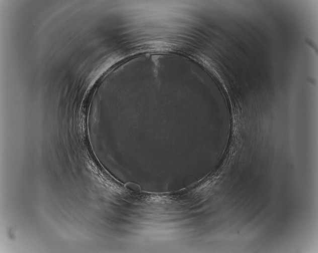 X0000102240835200808081434