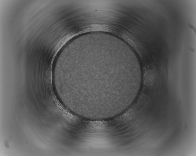 X0000102240836200808081434