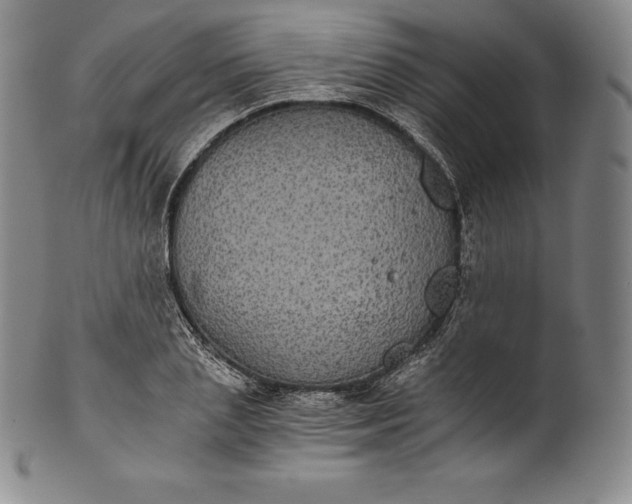 X0000102240837200808081434