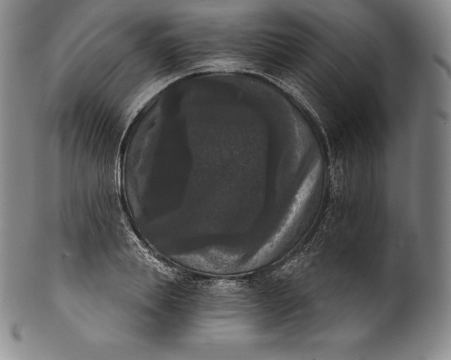 X0000102240839200808081434