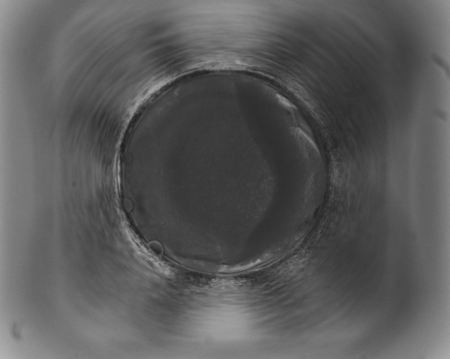 X0000102240840200808081434