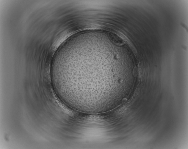 X0000102240842200808081434