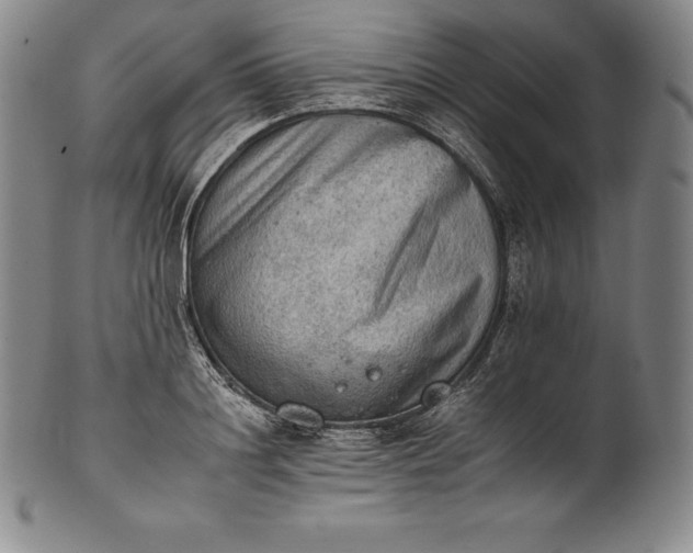 X0000102240844200808081434