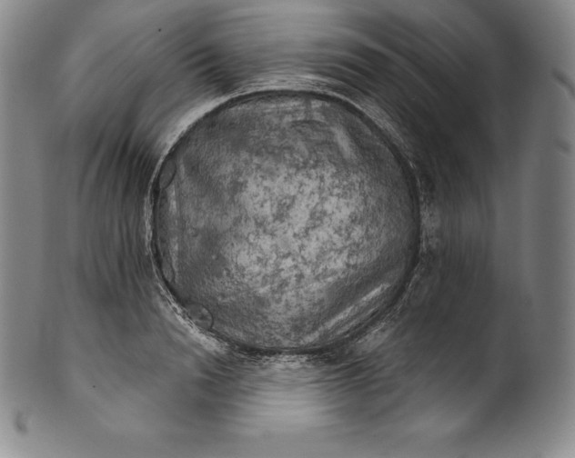 X0000102240846200808081434