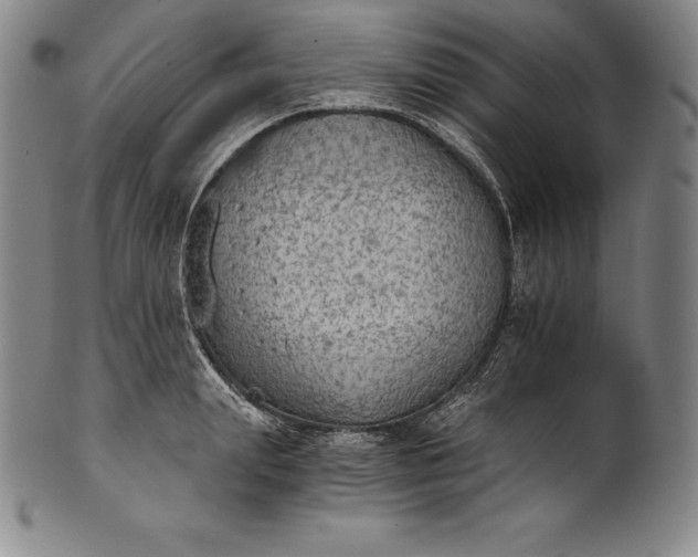 X0000102240847200808081434