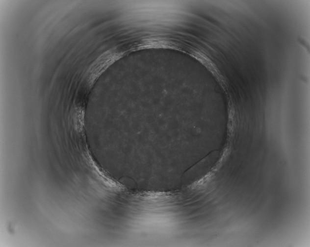 X0000102240849200808081434