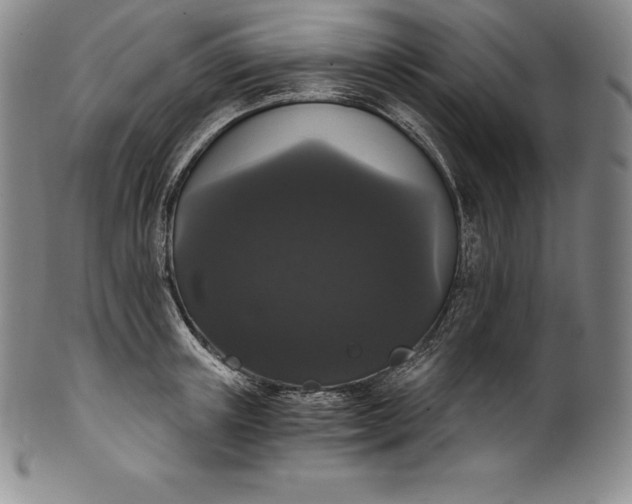 X0000102240851200808081434