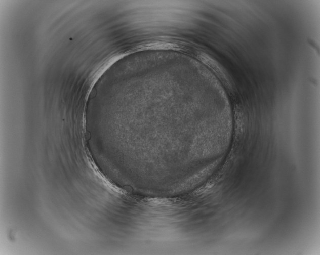 X0000102240852200808081434